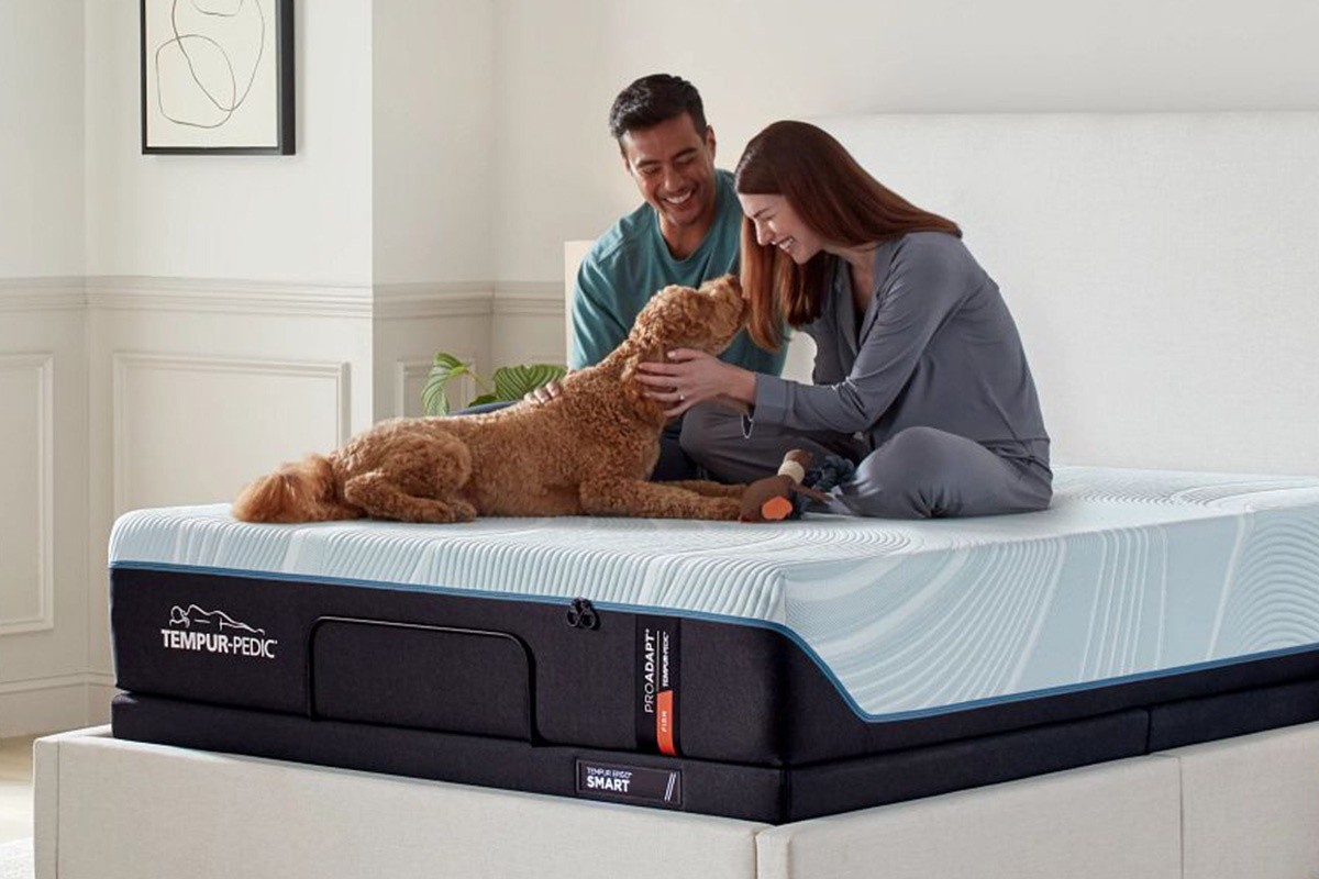 a couple in bed giving their dog some lovin's