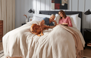 Puppy Proofing Your Tempur-Pedic